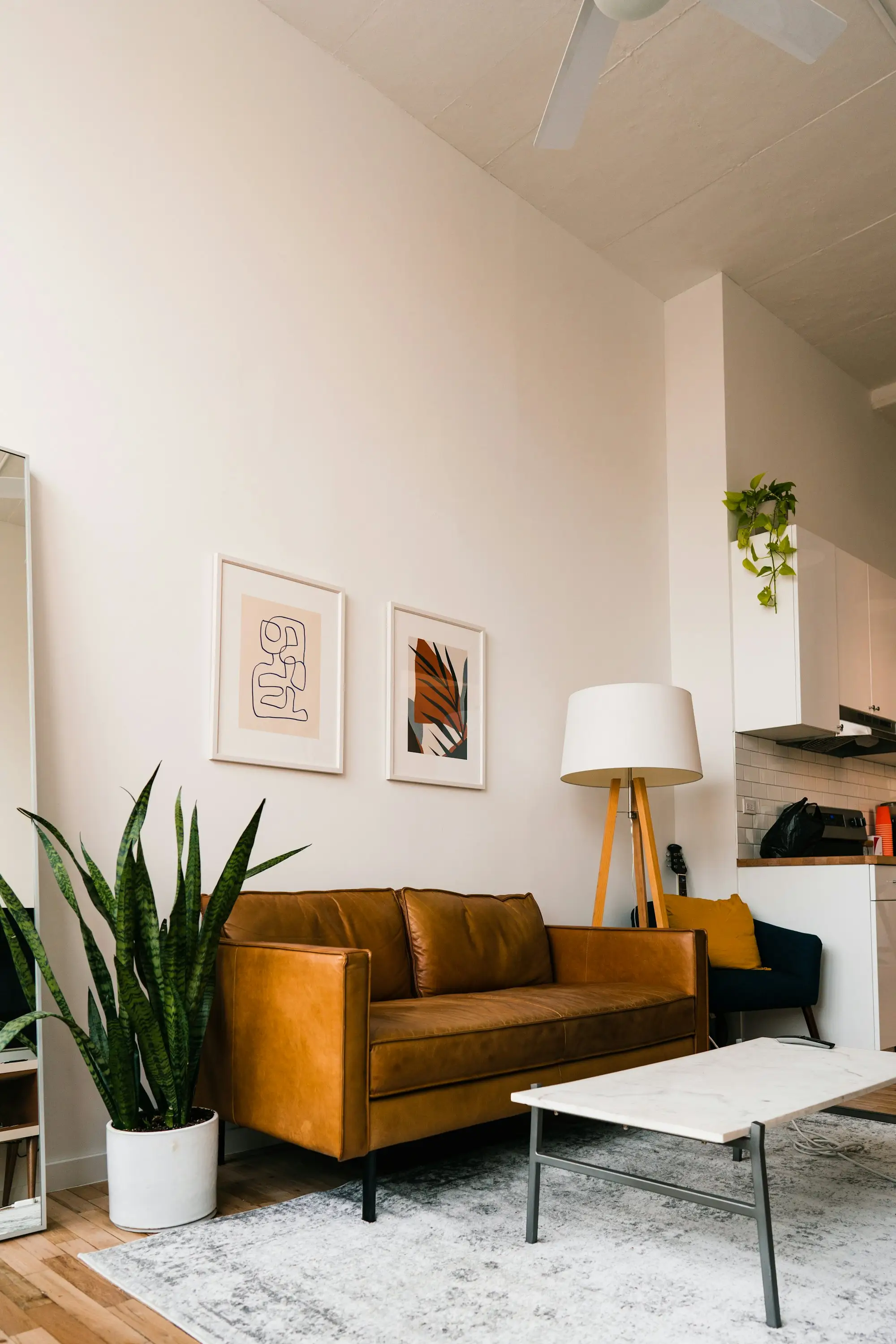 Living room with a brown leather sofa, a plant, and a marble coffee table